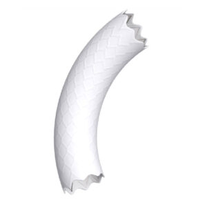 Stent Aórtico recubiertos